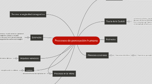 Mind Map: Procesos de percepción humana