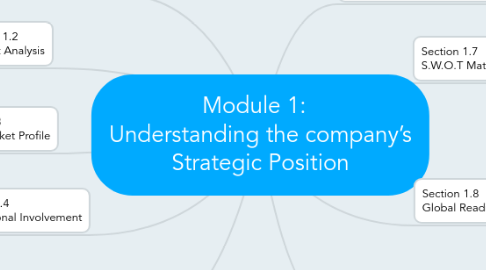 Mind Map: Module 1:   Understanding the company’s Strategic Position