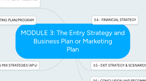 module 3 the entry strategy and business plan or ejemplo