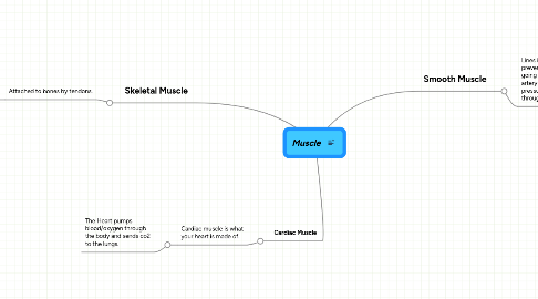 Mind Map: Muscle