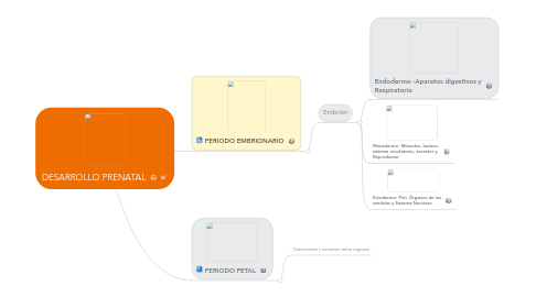 Mind Map: DESARROLLO PRENATAL