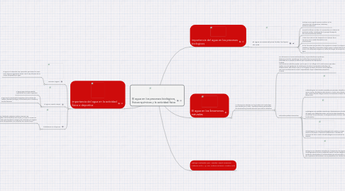 Mind Map: El agua en los procesos biológicos, físicos-químicos y la actividad fisica