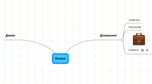 Mind Map: Кошки