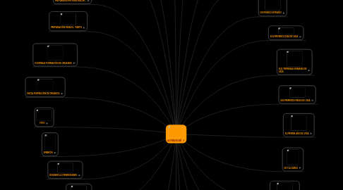 Mind Map: LA VIDA ES ASÍ