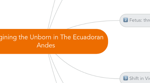 Mind Map: Imagining the Unborn in The Ecuadoran Andes