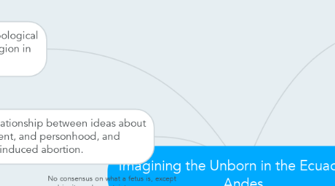Mind Map: Imagining the Unborn in the Ecuadoran Andes