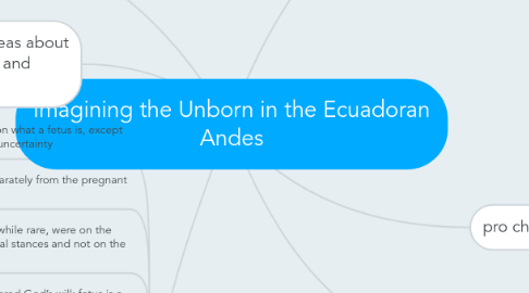 Mind Map: Imagining the Unborn in the Ecuadoran Andes