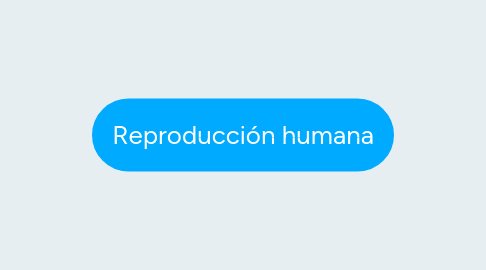 Mind Map: Reproducción humana