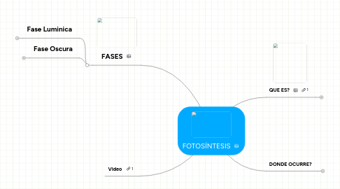 Mind Map: FOTOSÍNTESIS