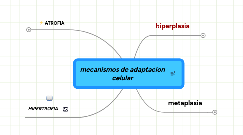 Mind Map: mecanismos de adaptacion celular