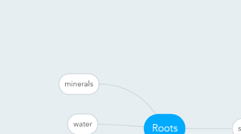 Mind Map: Roots