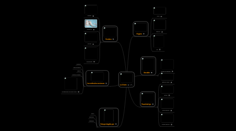 Mind Map: La Visión