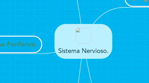 Mind Map: Sistema Nervioso.
