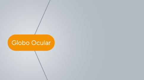 Mind Map: Globo Ocular