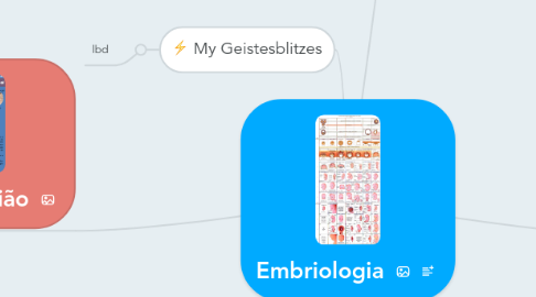 Mind Map: Embriologia