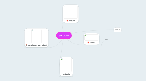 Mind Map: Gestacion