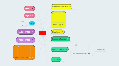 Mind Map: Célula