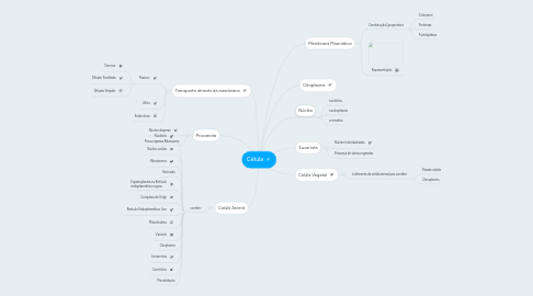 Mind Map: Célula