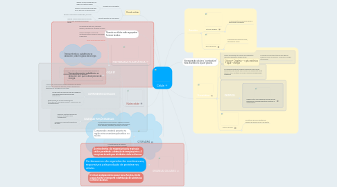 Mind Map: Célula