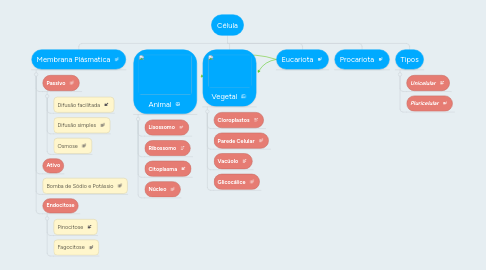 Mind Map: Célula