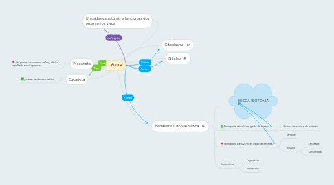 Mind Map: CÉLULA