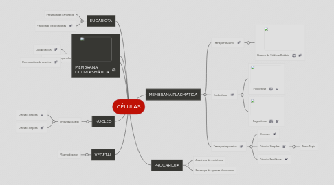 Mind Map: CÉLULAS