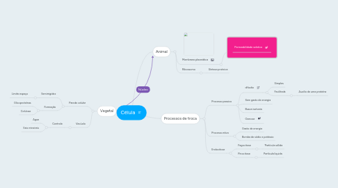 Mind Map: Célula