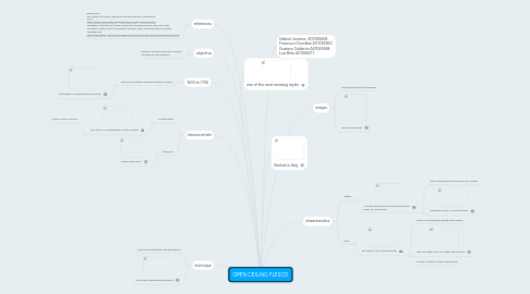 Mind Map: OPEN CEILING FLESCO