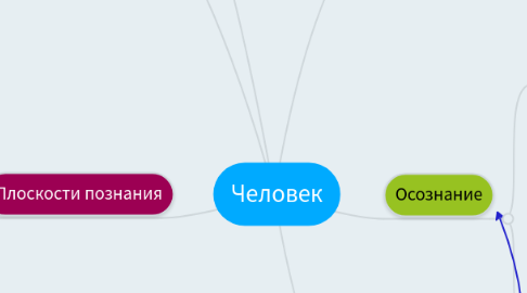 Mind Map: Человек