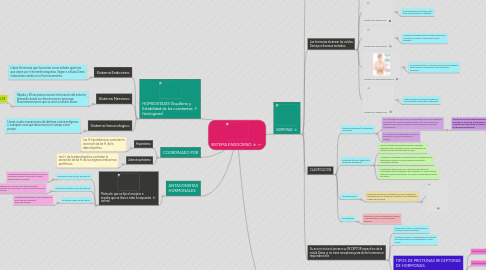 Mind Map: SISTEMA ENDOCRINO