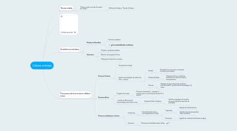 Mind Map: Células animais