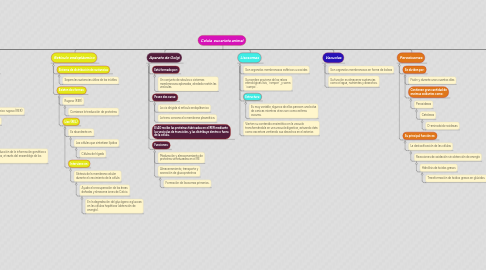 Mind Map: Celula eucariota animal