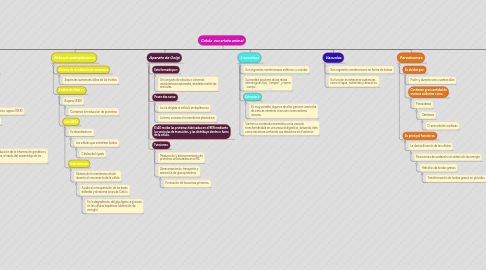 Mind Map: Celula  eucariota animal