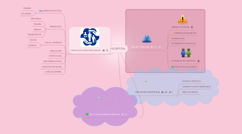 Mind Map: HOSPITAL