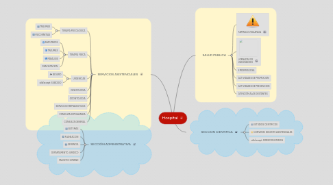 Mind Map: Hospital