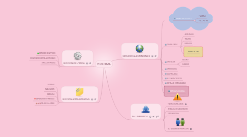 Mind Map: HOSPITAL