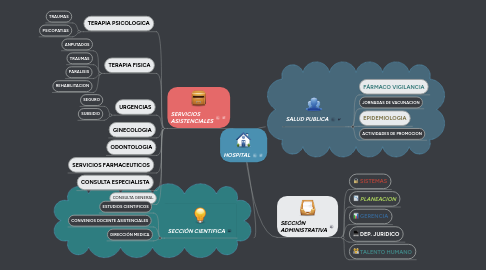 Mind Map: HOSPITAL