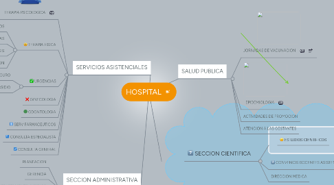 Mind Map: HOSPITAL