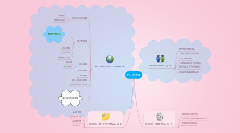 Mind Map: HOSPITAL