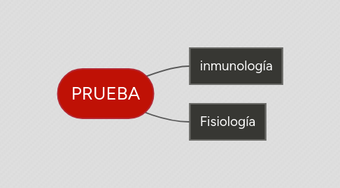 Mind Map: PRUEBA
