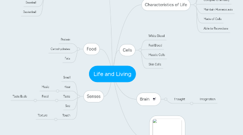 Mind Map: Life and Living