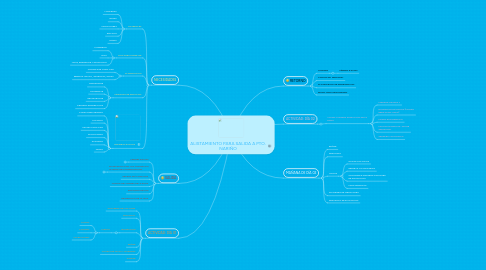 Mind Map: ALISTAMIENTO PARA SALIDA A PTO. NARIÑO