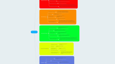 Mind Map: 7 Documents