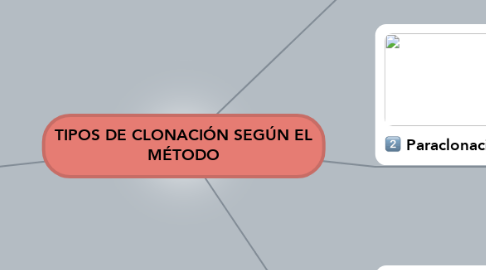 Mind Map: TIPOS DE CLONACIÓN SEGÚN EL MÉTODO