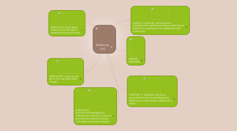 Mind Map: MANUAL ISS