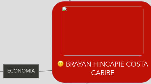Mind Map: BRAYAN HINCAPIE COSTA CARIBE
