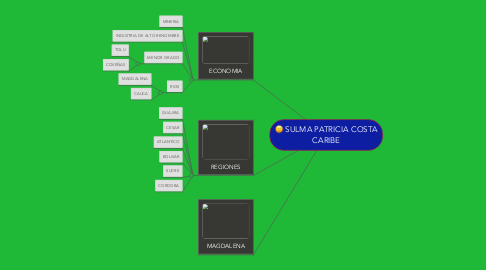 Mind Map: SULMA PATRICIA COSTA CARIBE