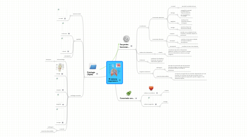 Mind Map: El sistema respiratorio