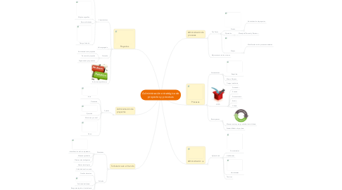 Mind Map: Administración estratégica de proyectos y procesos