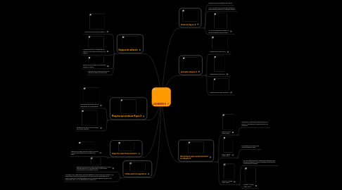 Mind Map: LOS RAYOS X